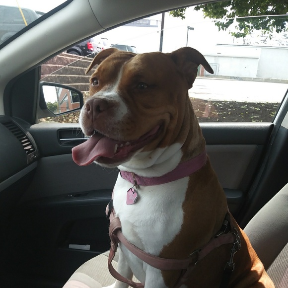 Meet your Posher, Kimberly - Picture 4 of 6